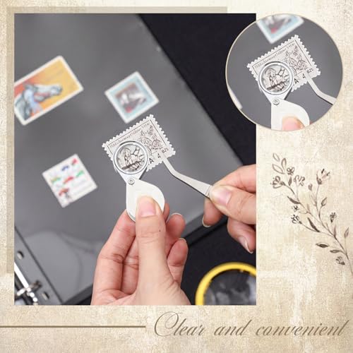 Image of Lewtemi Stamp Collecting Albums Set 4 Ring Stamp Collection Book Include 20 Pages Album Binder Tweezer and Loop Magnifier Collecting Supplies for Collectors(Brownish Red,1 /2 /3 /4 Rows)