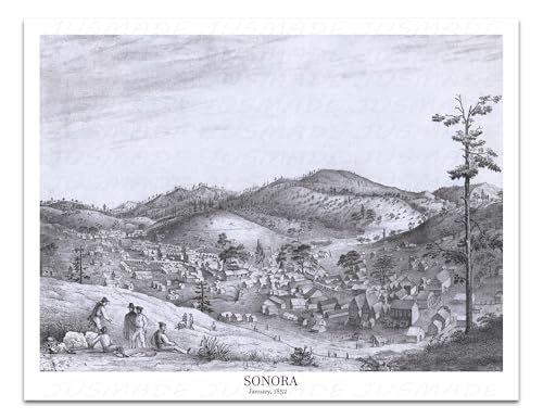Vintage 1852 Gold Rush Era Map Illustration – Historic California Town Poster – Unframed Wall Decor (8.5x11")