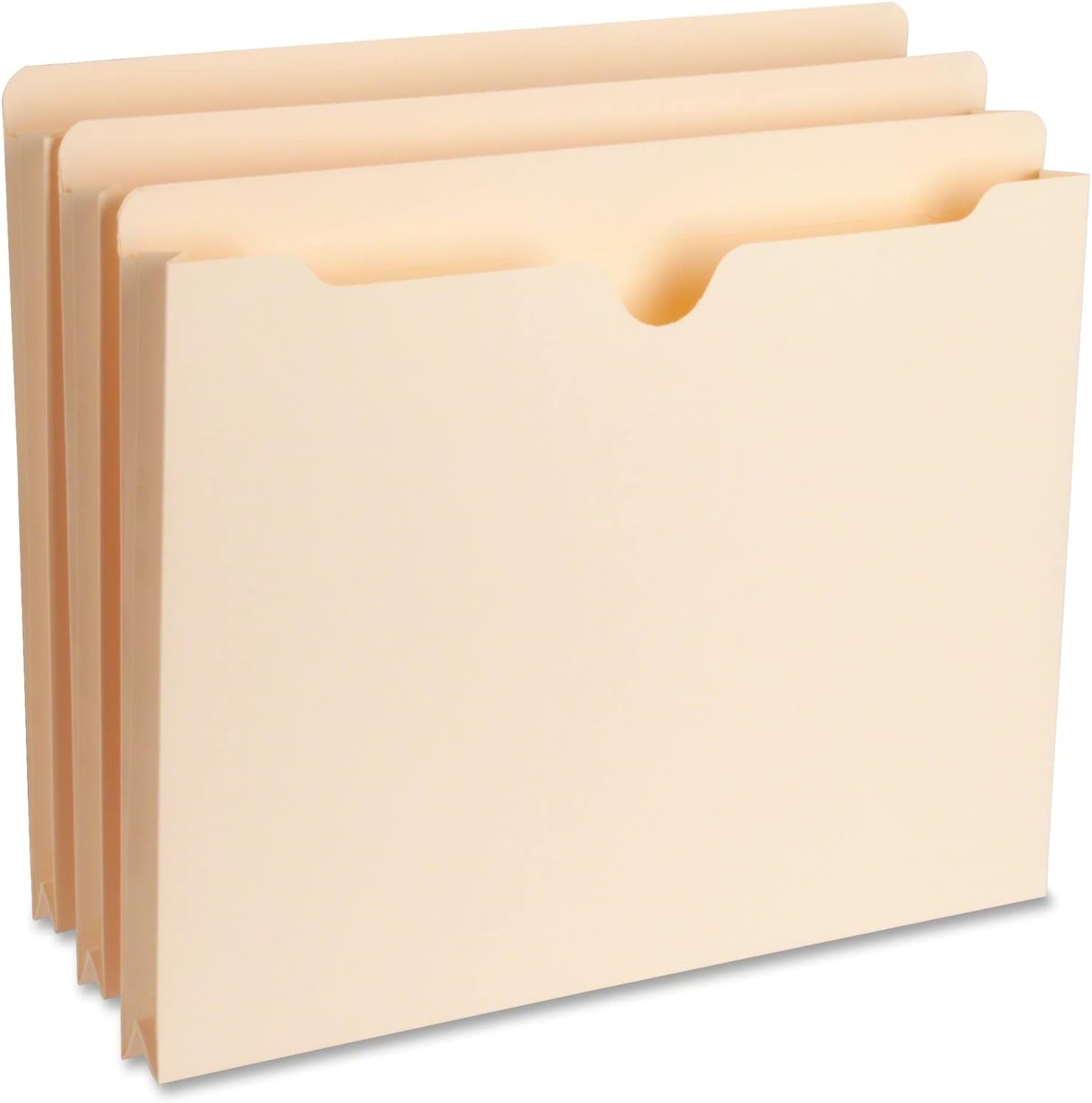 BSN65797 - Business Source 1 Expansion Heavyweight File Pockets