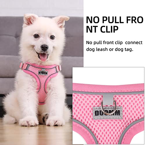 rennaio Dog Harness No Pull, Adjustable Puppy Harness with 2 Lead Clips, Ultra Breathable Padded Dog Vest Harness - Image 4