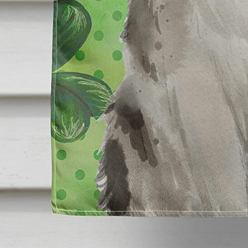 Ragamuffin Shamrock Flag grand format en canevas multicolore