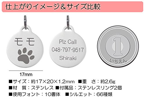 Amazon | 迷子札 小型犬 ネーム プレート New ステンレス