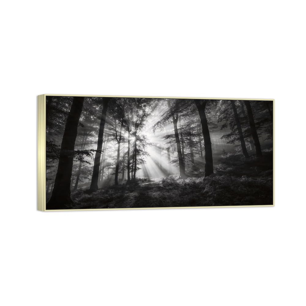 Tree Sunshine 3 Black White Landscape Canvas Picture 20x40cm Silver Frame