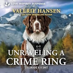 Unraveling a Crime Ring Titelbild