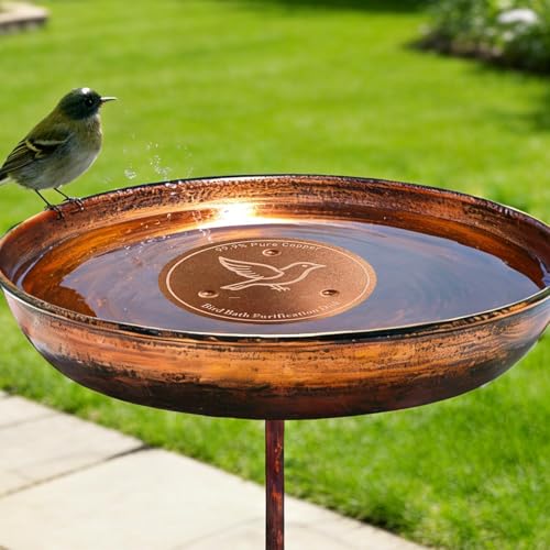 Bebedero de pájaros sin algas usando el disco de cobre para baño de aves 4