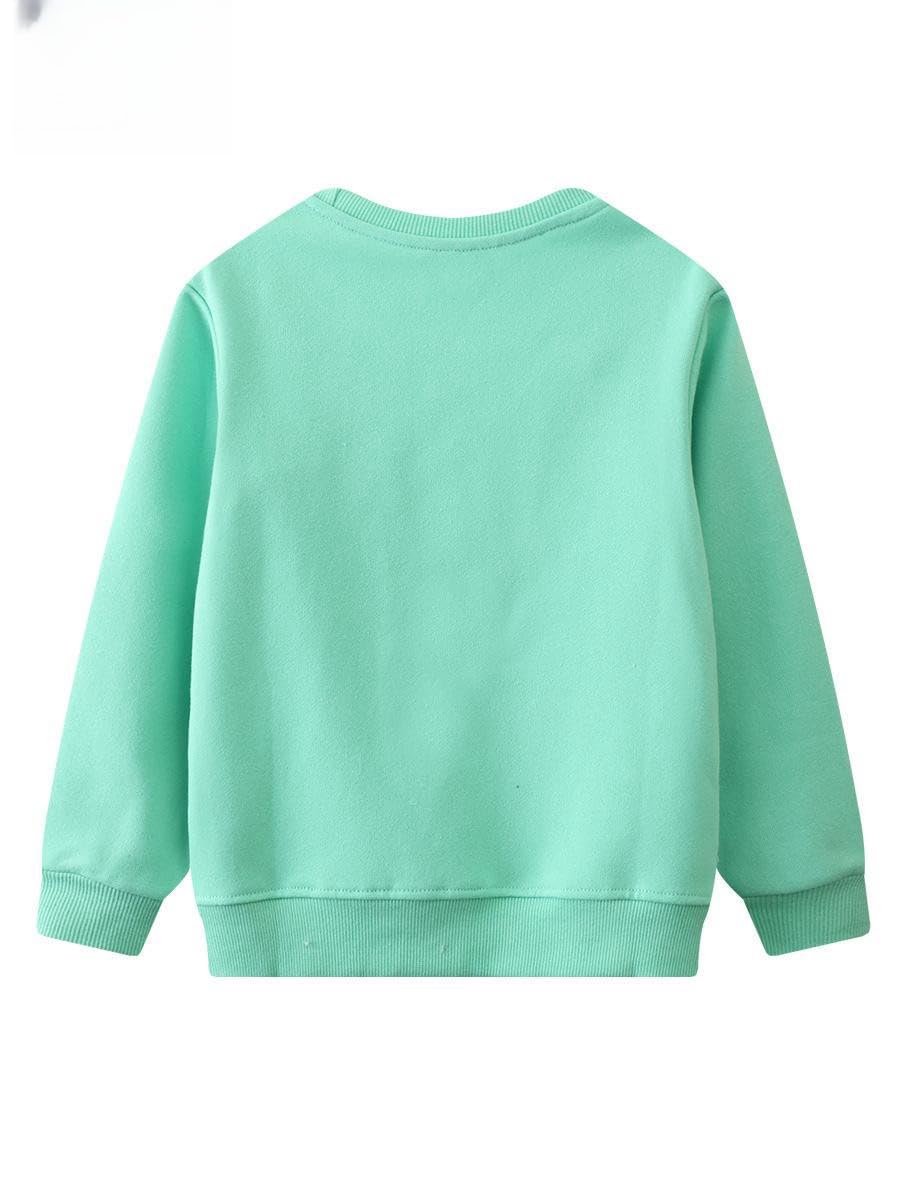 Baby Girls Hoodie With Flower Embroidery Round Neck Long Sleeve Base Shirt Autumn Loose Pullover Top (Green,90/18-24 M,Unisex,Big Kid,US,Age,18 Months,24 Months)