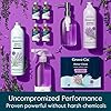 Grove Co. Multi-Purpose Cleaner, Refill Concentrate (2 x 1 Oz) + Glass Spray Bottle (16 Oz), Plant-based Household Cleaning Supplies Bundle, No Plastic Waste, Natural Lavender Blossom & Thyme Scent #5