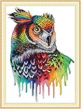 Joy Sunday Cross Stitch Kits 14CT Stamped Rainbow Owl 12.6