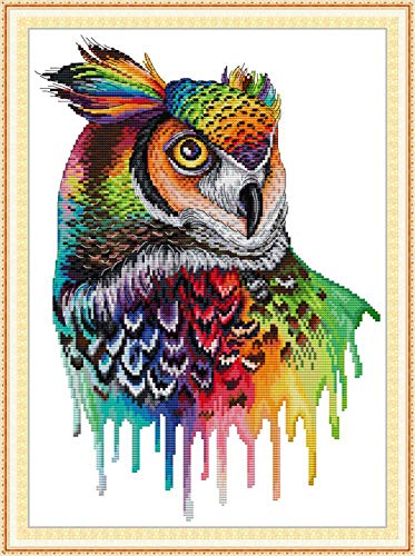 Joy Sunday Cross Stitch Kits 14CT Stamped Rainbow Owl 12.6