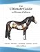 The Ultimate Guide to Horse Colors