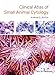 Clinical Atlas of Small Animal Cytology