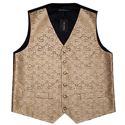 Image of Barry.Wang Men's Suit Vest Formal /Leisure Paisley Jacquard Silk Tie Pocket Square Waistcoat Set Wedding 5PCS