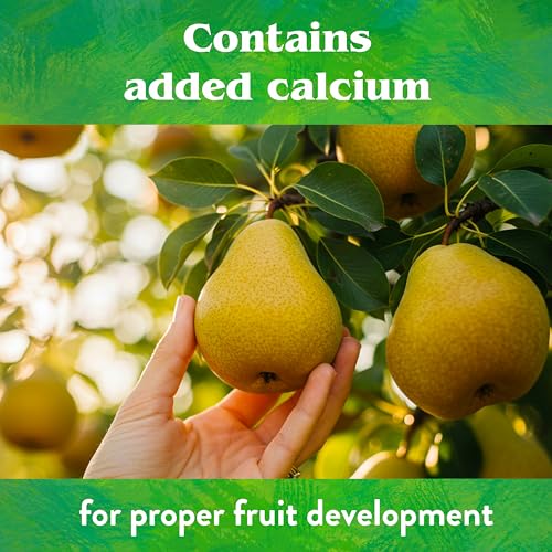 Down To Earth All Natural Fertilizers Organic Fruit Tree - Plant Food for Apples, Pears, Plums and Tropical Fruit Trees 6-2-4, 5 lb