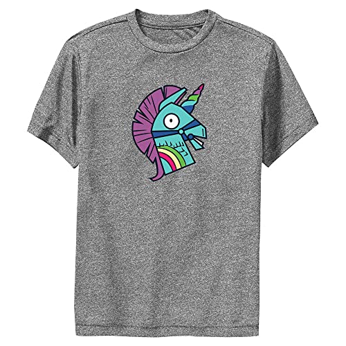 FORTNITE Little, Big Llama Bash Boys Short Sleeve Tee Shirt, Charcoal Heather, Large