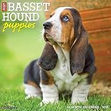 Just Basset Hound Puppies 2021 Wall Calendar (Dog Breed Calendar)