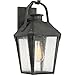 Quoizel CRG8408MB Carriage Outdoor Lantern Wall Sconce, 1-Light, 100 Watts, Mottled Black (15" H x 8" W)