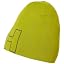 452 Bright Moss