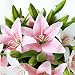 Flor Artificial Lirio, GKONG Pack de 4 Ramos Realista Flores Ramos de...