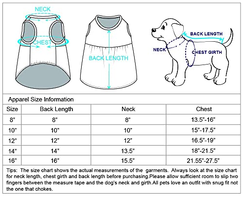 Blueberry Pet My Little Princess Cotton Blend Dog Tulle Dress In Lovely Pink With Heart, Back Length 12", Pack Of 1 Clothes For Dogs #TOP5