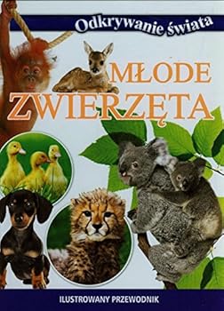 Hardcover Mlode zwierzeta Ilustrowany przewodnik [Polish] Book