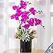 YUYAO Artificial Orchid Bonsai with Vase Real Touch Fake Orchids Flowers PU Phalaenopsis Bonsai Arrangement for Home Office Table Party Decoration (Black, 2)