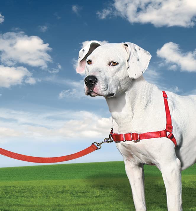 PetSafe Easy Walk-Geschirr, Anti-Zieh-Hundegeschirr, Verringert Würgen und Husten, Mit 1,8 M Leine, Größe L, Rot