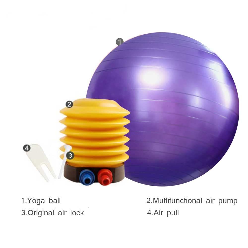 Balle de yoga de chèvre - Jouet d'entraînement anti-éclatement avec pompe de gonflage pour chèvre et agneau - 55,9 cm - Violet