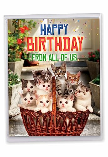 NobleWorks - Hilarious Happy Birthday Card with Envelope (8.5 x 11 Inch) - Funny Animal Greeting Card From All Of Us - From All Us Cats Birthday J5980BDG-US