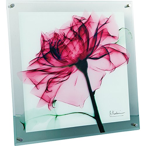 ユーパワー 植物 花 ローズ W36×H36×D2cm