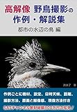 高解像 野鳥撮影の作例・解説集「都市の水辺の鳥 編」
