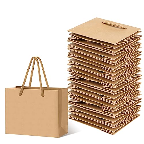 Fainne 24 Pcs Brown Mini Gift Bags Handle Kraft Gift Card