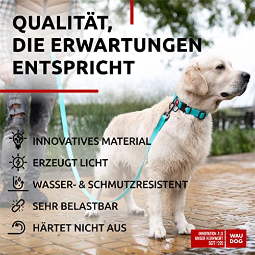 WAUDOG Wasserfest Verstellbares Hundehalsband für Große, Mittelgroße und Kleine Hunde - Metall Verschluss