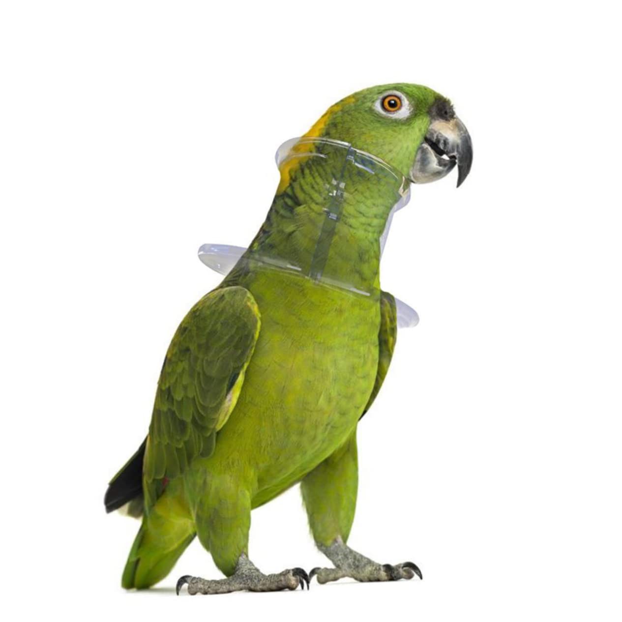 BESPORTBLE 3pcs Parrot Neck Protector Bird Bite Collar Fringe Bird Collar for Medium Parrots Macaw Harness