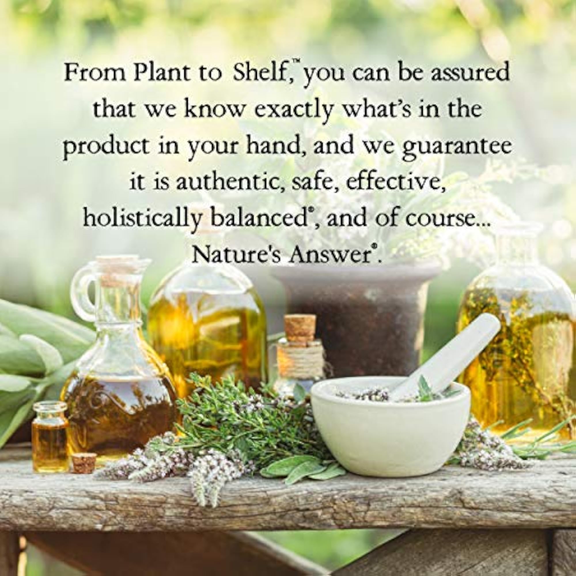Mullein Leaf Nature's Answer, 1-Ounce
