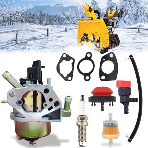 Chikia Huayi 183W Carburetor