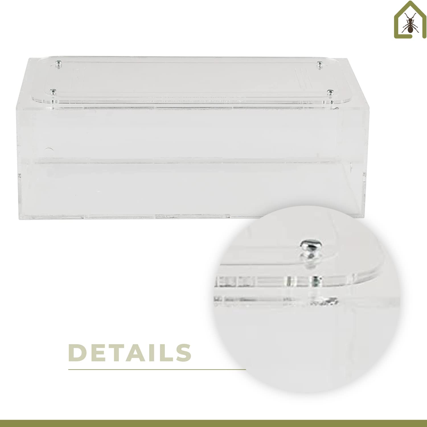 AntHouse.es - Hormiguero Natural de Arena | Kit Inicio Big Acrílico 30x15x10 cm | Granja de Hormigas | Colonias de Hormigas Incluida - 4