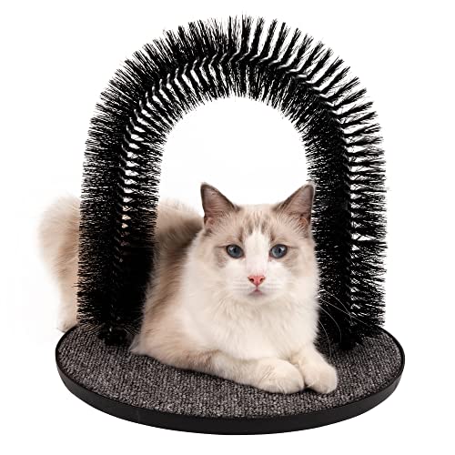 10 Must-Have Products Every Arch Cat Groomer Needs: A Comprehensive