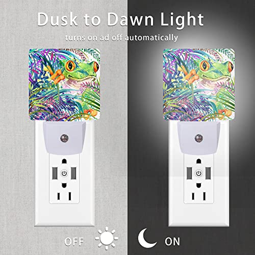 Image of Cute Frog Night Light,Green Tropical Forest Night Lights Plug into Wall for Boys Girls, Led Lights for Stairway /Hallway /Bedroom 0.5W Nightlight Sleep Friendly