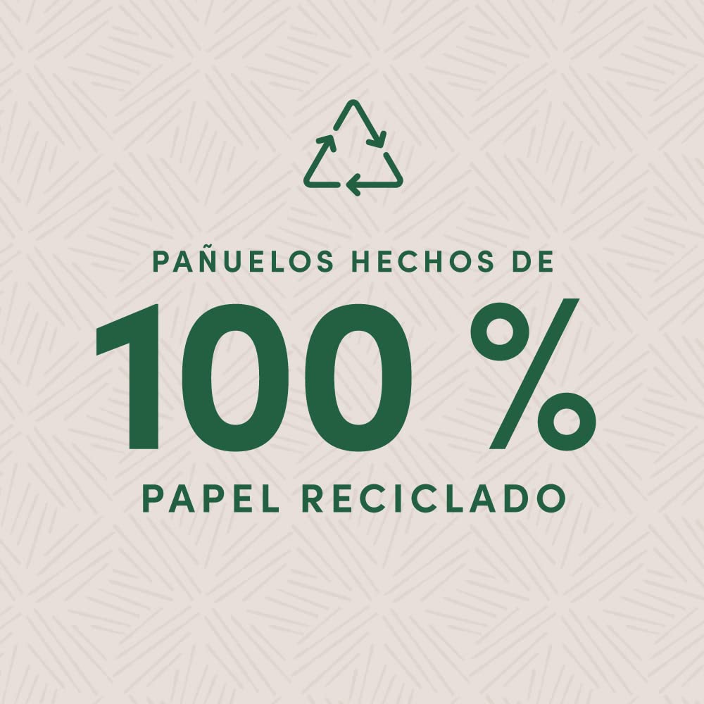 Amazon Aware 4 capas Pañuelos faciales, fabricados con papel 100% reciclado, 1500 Unidad, 15 Paquetes de 100 cada