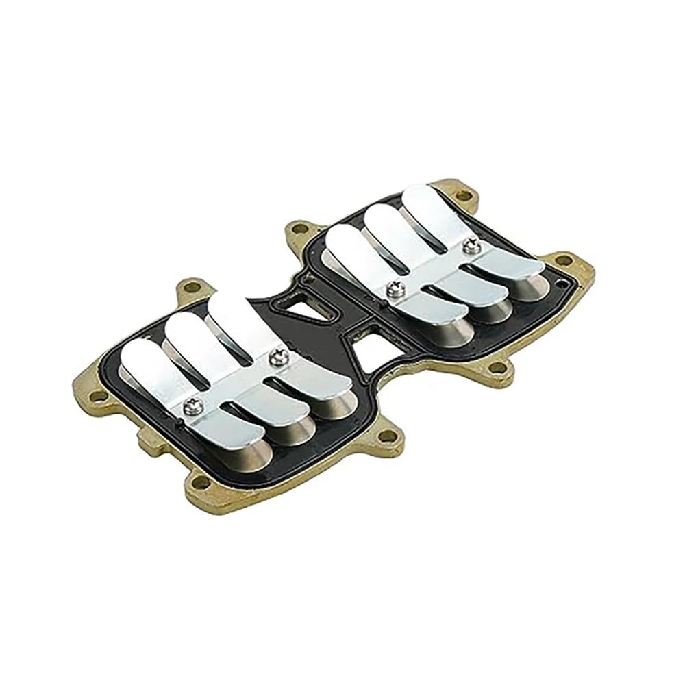 Soupapes moteur hors-bord E40X réparer panne admission 66T-13610-00