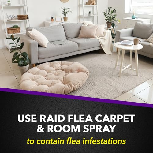 Image of Raid Flea Killer Carpet & Room Spray, Kills hatching eggs for up to 4 months, 16 Oz