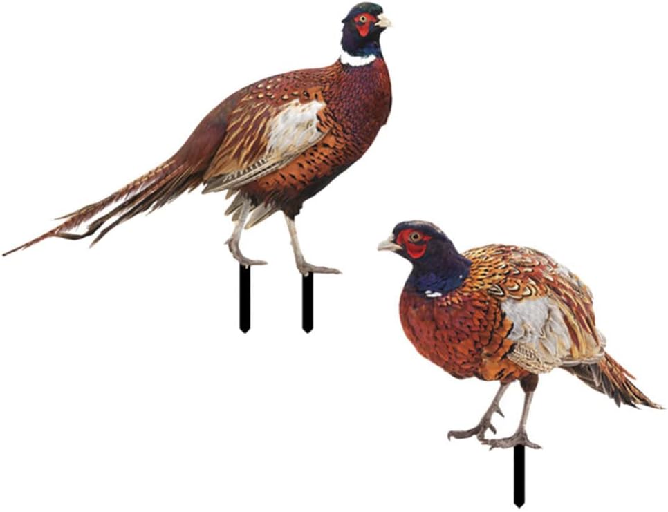 GANAZONO 2pcs Pheasant Garden Metal Statues Chicken