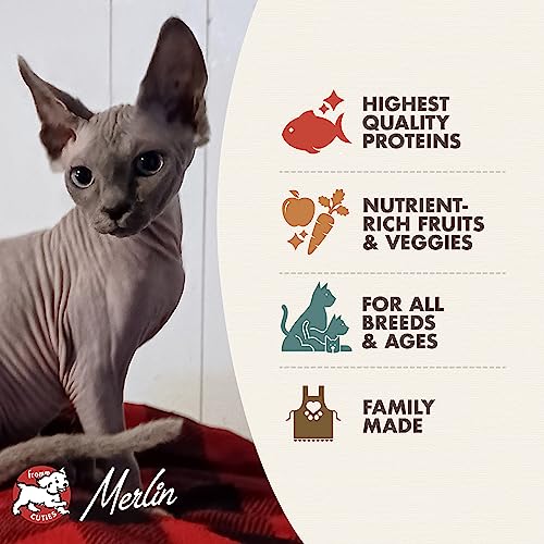 Fromm Four-Star Nutritionals Trout & Whitefish Cat Food - Premium Dry Cat Food - Trout Recipe - 4 Lb #TOP2