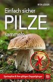 ludersheim steak  Einfach sicher Pilze sammeln: Speisepilze & ihre giftigen Doppelgänger