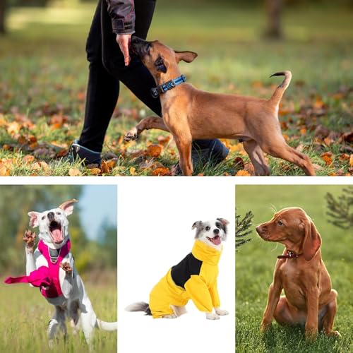 Abrigo impermeable para perro con aislamiento térmico completo para invierno 5