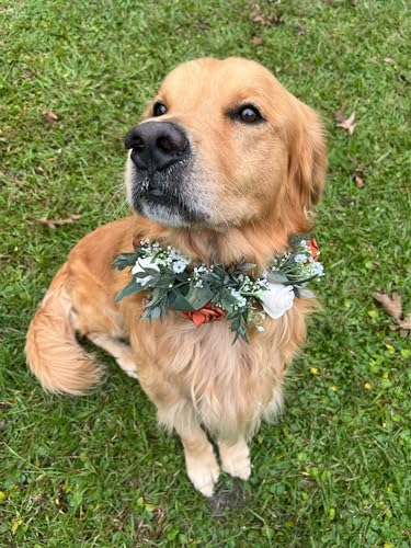 Generic Wedding Dog Collar, Floral Ring Dog Collar thumb #1