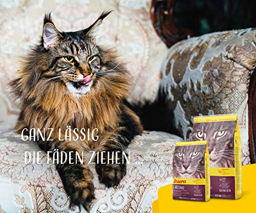 JOSERA Senior (400g) | Katzenfutter trocken weizenfrei für ältere Katzen