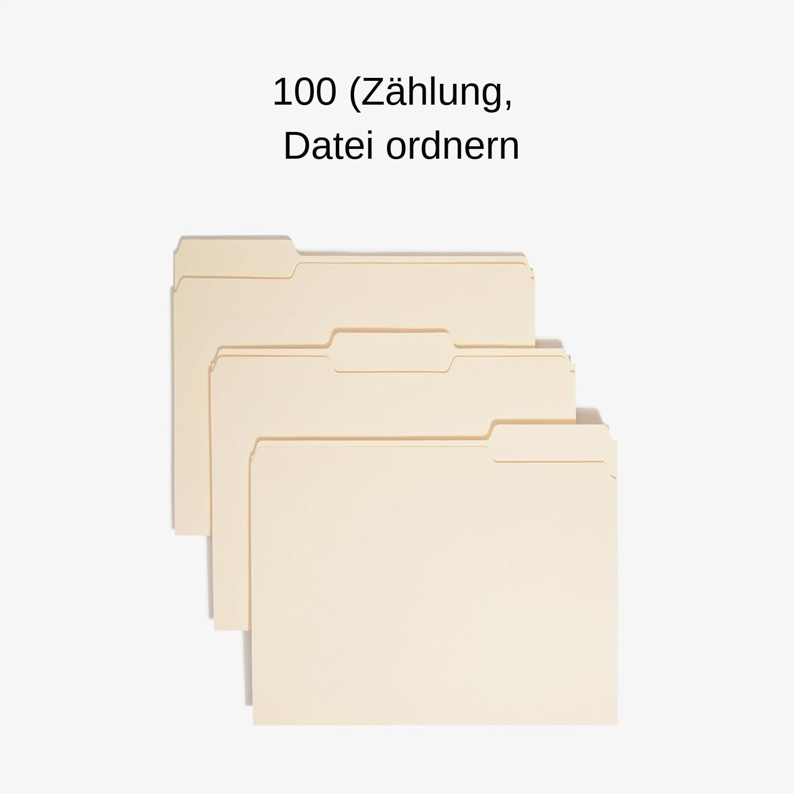 Cartella Portadocumenti 100 Pezzi Organizer per Documenti | Cartelline per Archivio con Linguette 1/3 per Ufficio Domestico, Organizzazione Scolastica, Gestione di Lavoro e Contratti