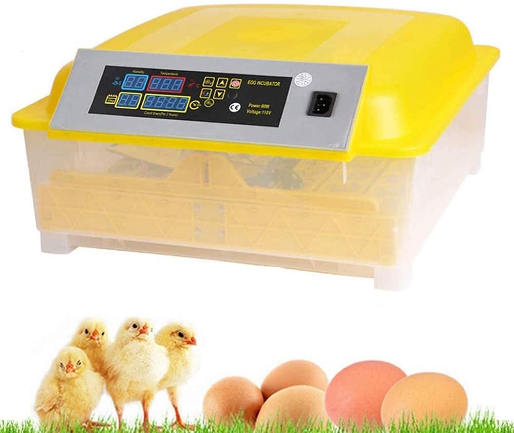 Ndeal | 48-Eggs Intelligent Automatic Egg Incubator Temperature Control Hatcher for Hatching Chicken Duck Bird Quail Poultry AC220V-image-39