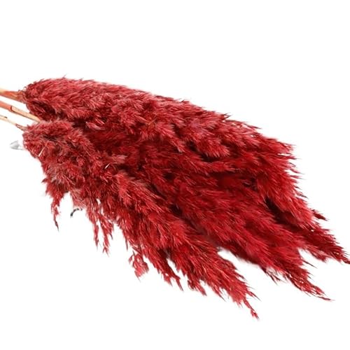 Pampas Secas Decoracion Ramo de Flores secas 50 cm, Hierba la Pampa, caña, Artificiales, decoración del hogar, Navidad y Bodas(Red,10pcs No Vase)